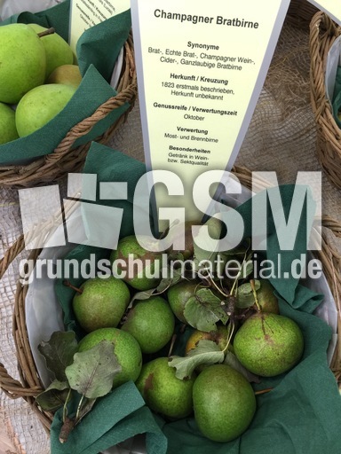 Champagner Bratbirne.jpg